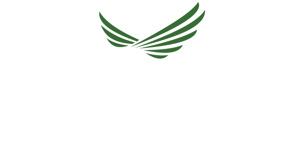 Auto Proteja Proteção Veicular